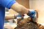 Building Materials Testing Services in Chennai